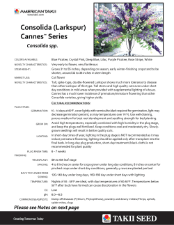 Consolida (Larkspur) Cannes&trade; Series