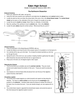 bio - HO earthworm dissection