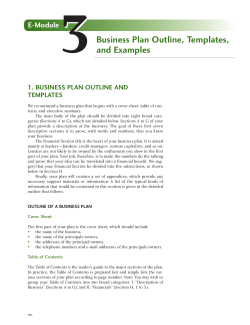 1. BUSINESS PLAN OUTLINE AND