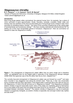 PDF only - at www.arxiv.org.