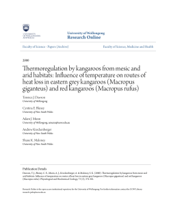 Thermoregulation by kangaroos from mesic and