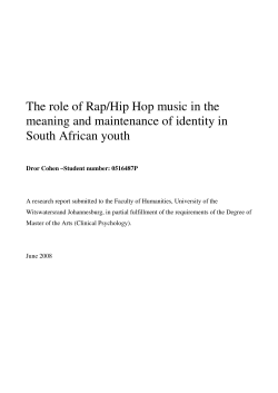 The role of Rap/Hip Hop music in the meaning and maintenance of