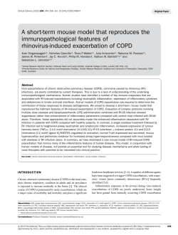 A short-term mouse model that reproduces the