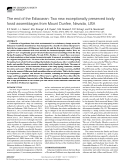 The end of the Ediacaran: Two new exceptionally