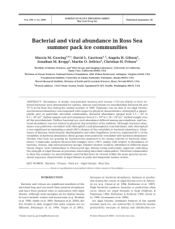 Bacterial and viral abundance in Ross Sea summer pack ice