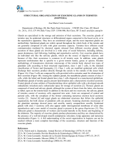 STRUCTURAL ORGANIZATION OF EXOCRINE