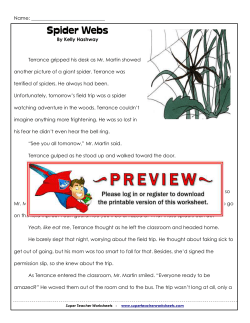 Spider Webs - superteacherworksheets.com