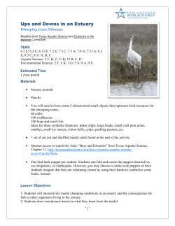 Ups and Downs in an Estuary - San Antonio River Authority