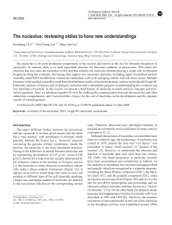 The nucleolus: reviewing oldies to have new understandings