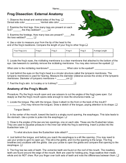 Frog Dissection: External Anatomy