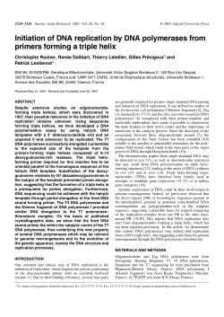Initiation of DNA replication by DNA polymerases