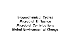 Biogeochemical Cycles Microbial Influence Microbial Contributions