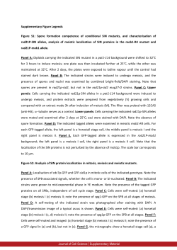 Supplementary Material - Journal of Cell Science