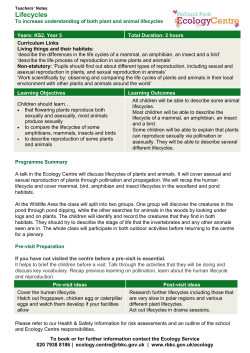 Life Cycles Programme