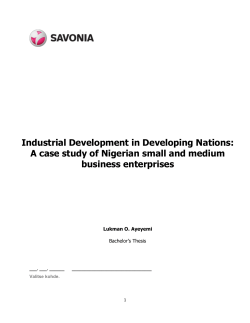 Industrial Development in Developing Nations