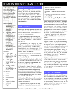 Home in the Sonoran Desert - Arizona