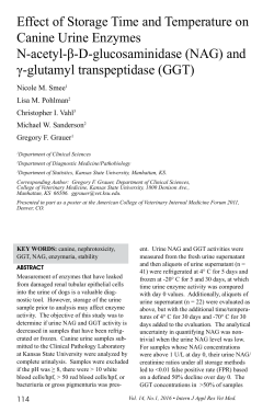 Effect of Storage Time and Temperature on Canine Urine Enzymes