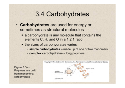 Carbohydrates