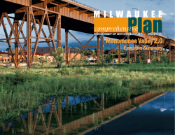 Executive Summary - Menomonee Valley 2.0