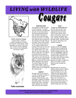 Living With Wildlife - Cougars / Mountain Lions