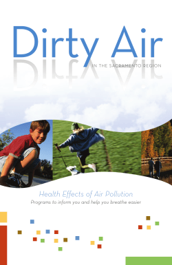 Health Effects of Air Pollution