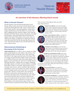 Focus on Vascular Disease