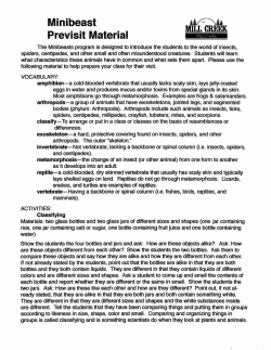 Minibeast Previsit Material