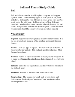 Soil and Plants Study Guide