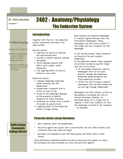 Notes to Endo 1A