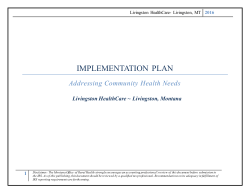 Implementation Plan - Livingston HealthCare