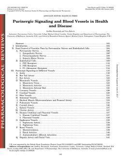 Purinergic Signaling and Blood Vessels in Health and Disease