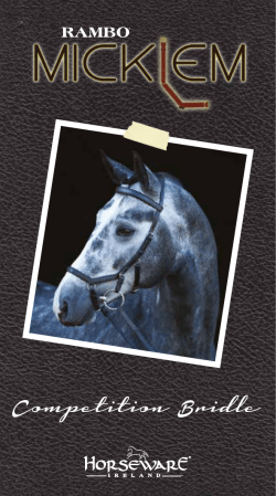 Competition Bridle