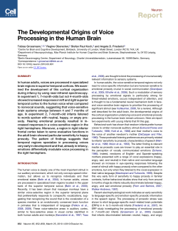 The Developmental Origins of Voice Processing in