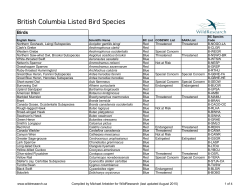 British Columbia Listed Bird Species
