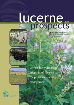 Drivers for widespread adoption of lucerne for profit and salinity