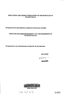 Induction and characterization of micronuclei in plant cells