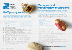 Puff pastry snails Meringue and marshmallow mushrooms