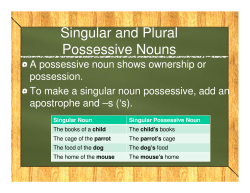 Singular and Plural Possessive Nouns
