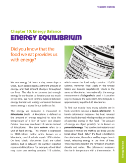Energy Equilibrium Teacher Key