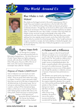 Page 11 - Nature`s Web