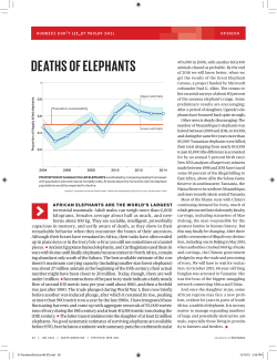 deaths of elephants