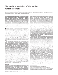 Diet and the evolution of the earliest human ancestors