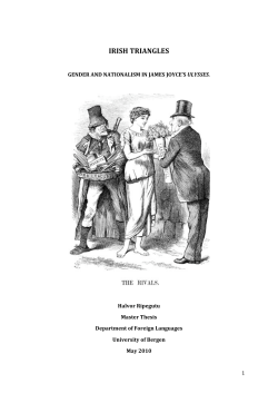 irish triangles - BORA