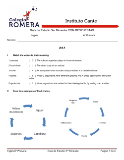 Gu&iacute;a de Estudio 3er Bimestre CON RESPUESTAS