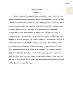 Literature Review Introduction Planarians are primitive, aquatic