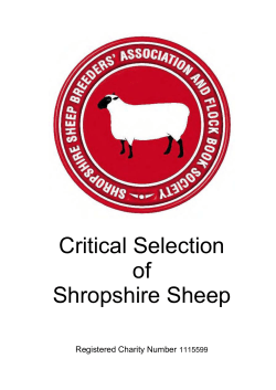 Critical Selection Booklet - Shropshire Sheep Breeders` Association
