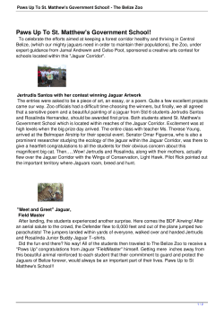 Paws Up To St. Matthew`s Government School!