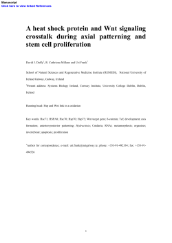 A heat shock protein and Wnt signaling crosstalk during axial