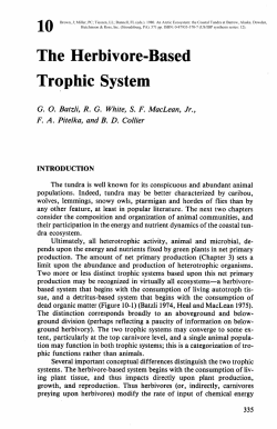 The Herbivore-Based Trophic System