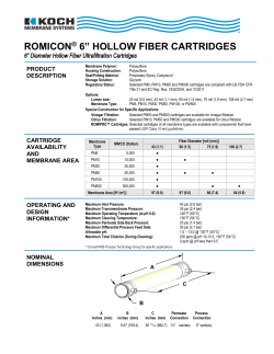 romicon&reg; 6&rdquo; hollow fiber cartridges